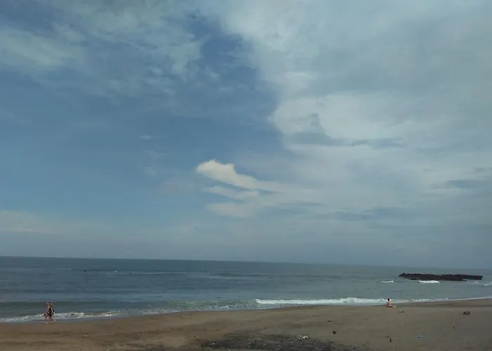 Temuku